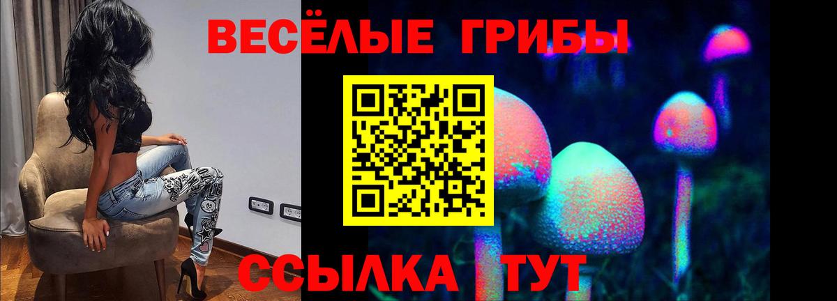 Галлюциногенные грибы мухоморы  Вход с VPN  Грозный  купить наркотики сайты  Галлюциногенные грибы Magic Shrooms 